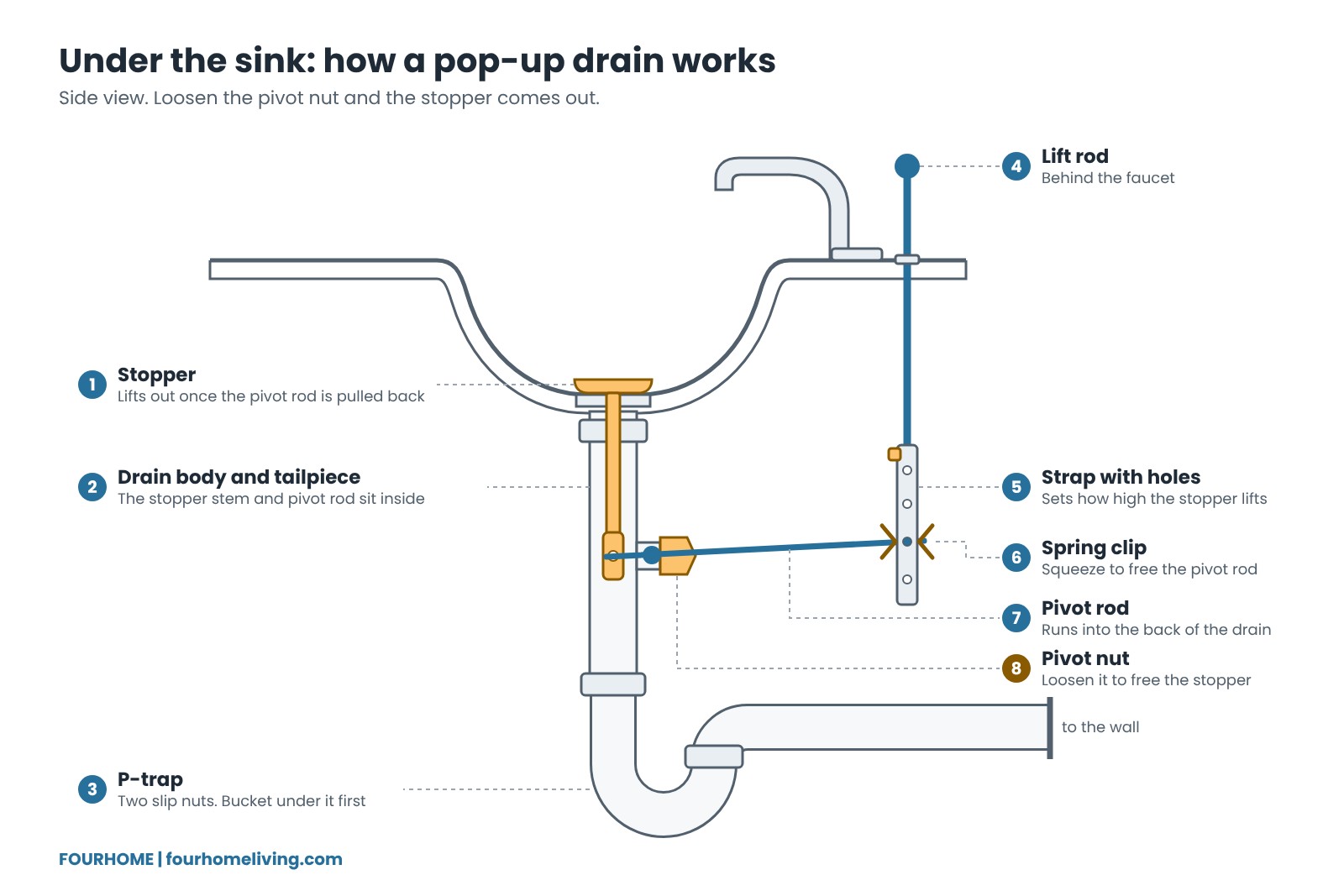 Pop-up drain parts: where the pivot nut is Side-view diagram of a bathroom sink pop-up drain showing the stopper, drain body, P-trap, lift rod, strap with holes, spring clip, pivot rod and pivot nut